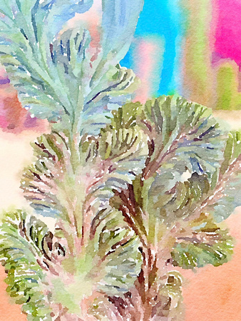 Painted in Waterlogue