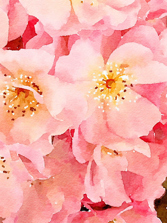 Painted in Waterlogue