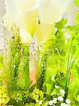 Painted in Waterlogue